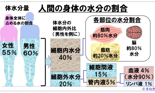 罗红霉素胶囊价格表-圣元罗红霉素软胶囊网1罗红霉素胶囊知识网站,分享圣迪罗红霉素胶囊一次吃几粒大全